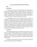 Informe laboratorio Leyes de la termodinámica