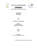 ESTILOS DE APRENDIZAJE