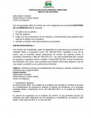 ESPECIALIZACION EN GERENCIA TRIBUTARIA MODULO DE AUDITORIA