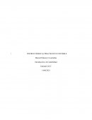 INSTRUCCIONES AL PRACTICANTE CONTABLE