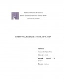 Estructura Jerárquica y su Clasificación