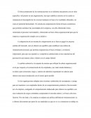 Administracion de la compensación