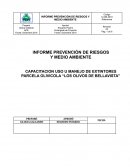 INFORME PREVENCIÓN DE RIESGOS Y MEDIO AMBIENTE