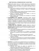 DIRECTIVAS PARA LA PRESENTACIÓN DEL PLAN DE TESIS