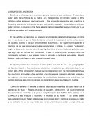 Los sapos de la memoria