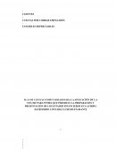 Tesis Plan de Cuentas