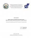 PEQUEAMIGOS PRODUCCIÓN DE UN PROGRAMA DE RADIO INFANTIL ORIENTADO A NIÑOS Y NIÑAS