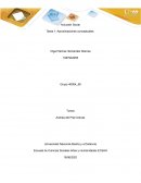 Diferenciación y desigualdad en la sociedad moderna