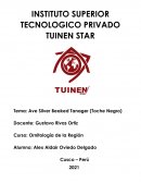 Ave Silver Beaked Tanager