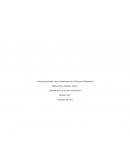 Conceptos generales sobre la Administración de Recursos Informáticos