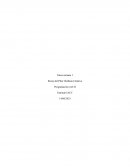 Programacion web - Diseño HTML adaptable