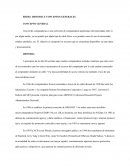 REDES. HISTORIA Y CONCEPTOS GENERALES