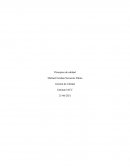 Gestión de Calidad iso