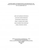 INFORME SOBRE LA ELABORACION DEL PLAN AGREGADO DE UNA FAMILIA DE PRODUCTOS A PARTIR DE ESTRATEGIAS DE PRODUCCIÓN. DE COLCHONES REM S.A.S