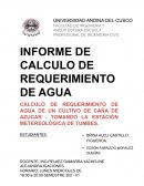 INFORME DE CALCULO DE REQUERIMIENTO DE AGUA