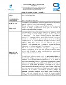 Formato Planeacion trabajo en equipo