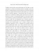 Ensayo sobre el Plan de desarrollo de la Región Junín