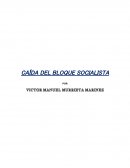 Ensayo: caída del boque socialista