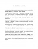 El cerebro y sus funciones