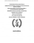 SUBDIRECCIÓN ACADÉMICA PRÁCTICA PROFESIONAL