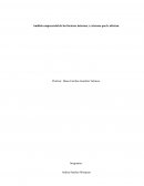 Análisis empresarial de los factores internos y externos que le afectan