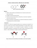 Práctica 3. Síntesis de éteres. Obtención de β-metil Naftol