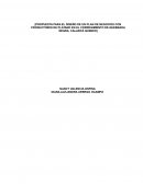 Propuesta para el diseño de un plan de negocios con productores de platano