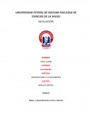 LA RELACIÓN ENTRE LA ÉTICA Y BIÓETICA