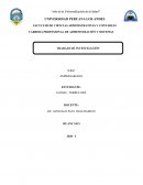 CASO DE EMPRENDIMIENTO Kelly Torres Skopac