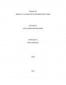 TRABAJO DE: IMPACTO A LA FAUNA POR UN MOVIMIENTO DE TIERRA