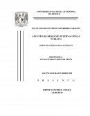 APUNTES DE DERECHO INTERNACIONAL PÚBLICO