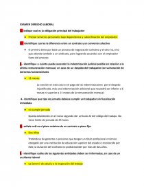 EXAMEN DERECHO LABORAL. Página 1