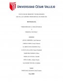 Principios de la vida humana y persona natural