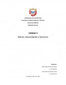 Economía Necesidades, Bienes y Servicios
