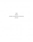 ENTORNO Y ECONOMÍA PARA LOS NEGOCIOS