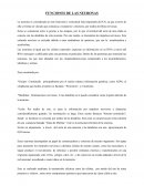 Funciones de las Neuronas