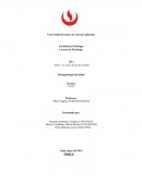 Amy, la chica detrás del nombre