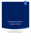 Investigacion formal informática