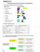 RELACIÓN ENTRE MAGNITUDES DERIVADAS Y FUNDAMENTALES