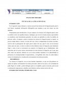 TÉCNICAS DE LA LITIGACIÓN PENAL