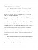 TALLER PROGRAMA Y PLAN DE AUDITORÍA