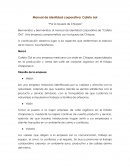 Manual de identidad corporativa: Cafeto óol “Por la riqueza de Chiapas”