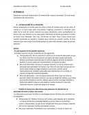 DESARROLLO COGNITIVO Y MOTOR