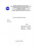 EL PACTO SUB-REGIONAL ANDINO