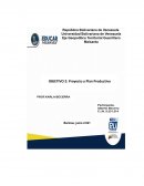 Análisis del Proyecto Productivo