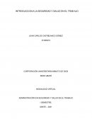 Administración en seguridad y salud en el trabajo. Manejo adecuado del tiempo