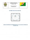CRONOGRAMA DE ACTIVIDADES - INFORME