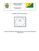 CRONOGRAMA DE ACTIVIDADES - INFORME