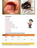 Bioquimica. Paciente en decúbito dorsal obligado