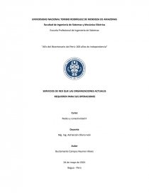 SERVICIOS DE RED QUE LAS ORGANIZACIONES ACTUALES. Página 1